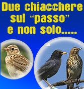 Torna due chiacchiere sul passo... e non solo